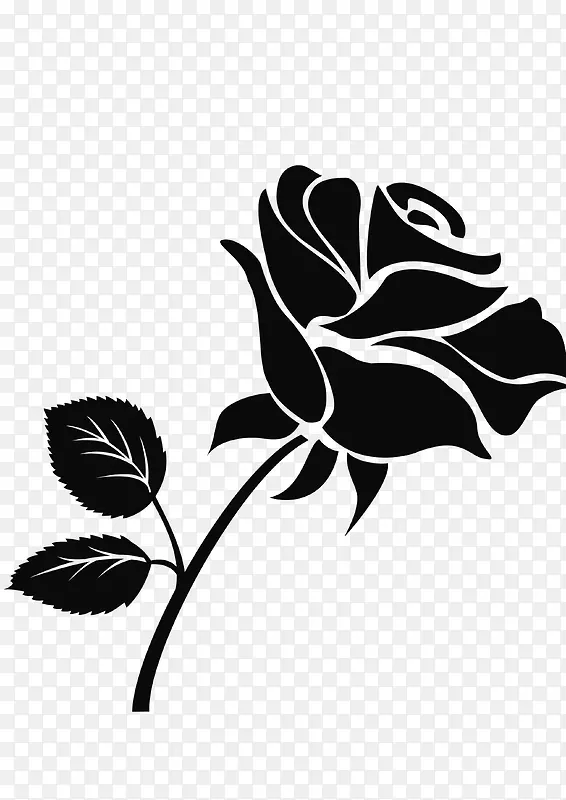 玫瑰 植物 黑白