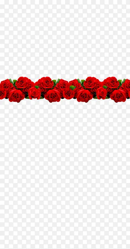 玫瑰，红色，浪漫，情人节