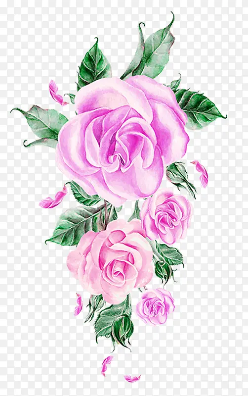 粉色手绘水彩玫瑰花