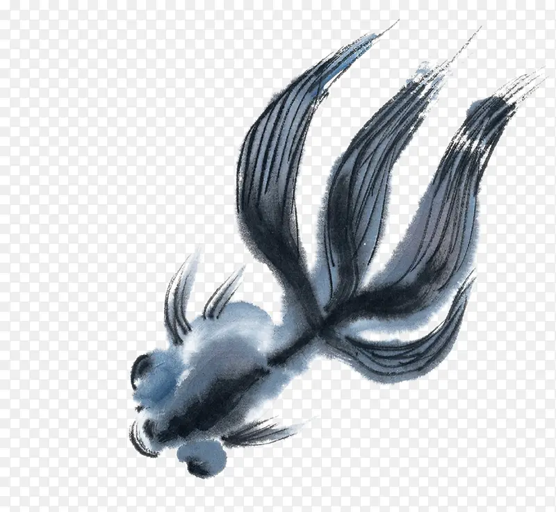 鱼