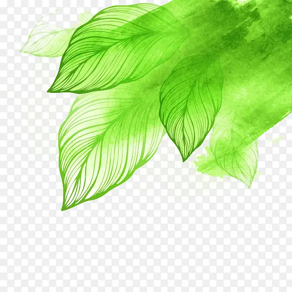 绿色水墨透明叶子