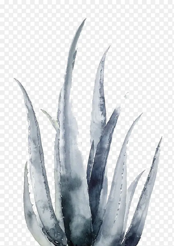 水彩植物
