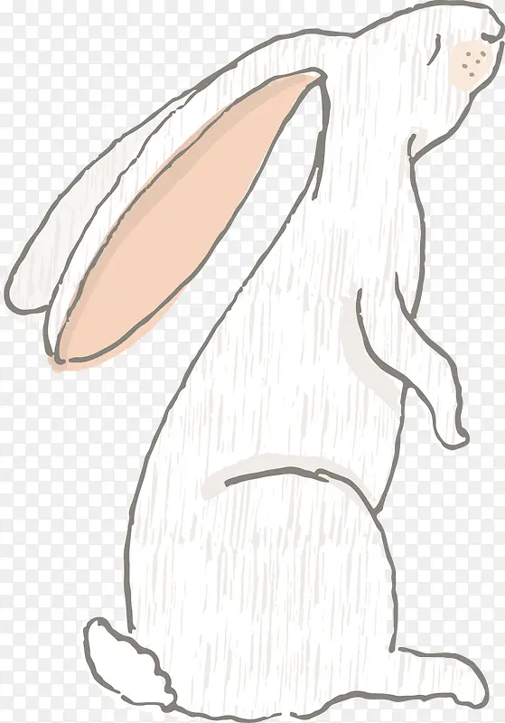 卡通兔子