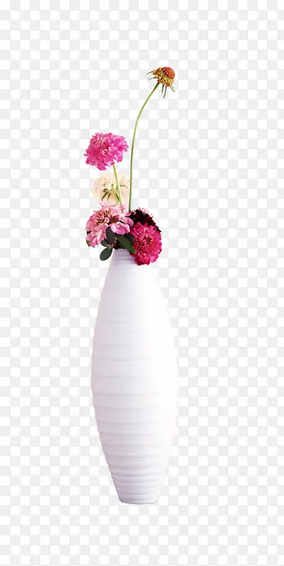 花瓶花卉插花花朵