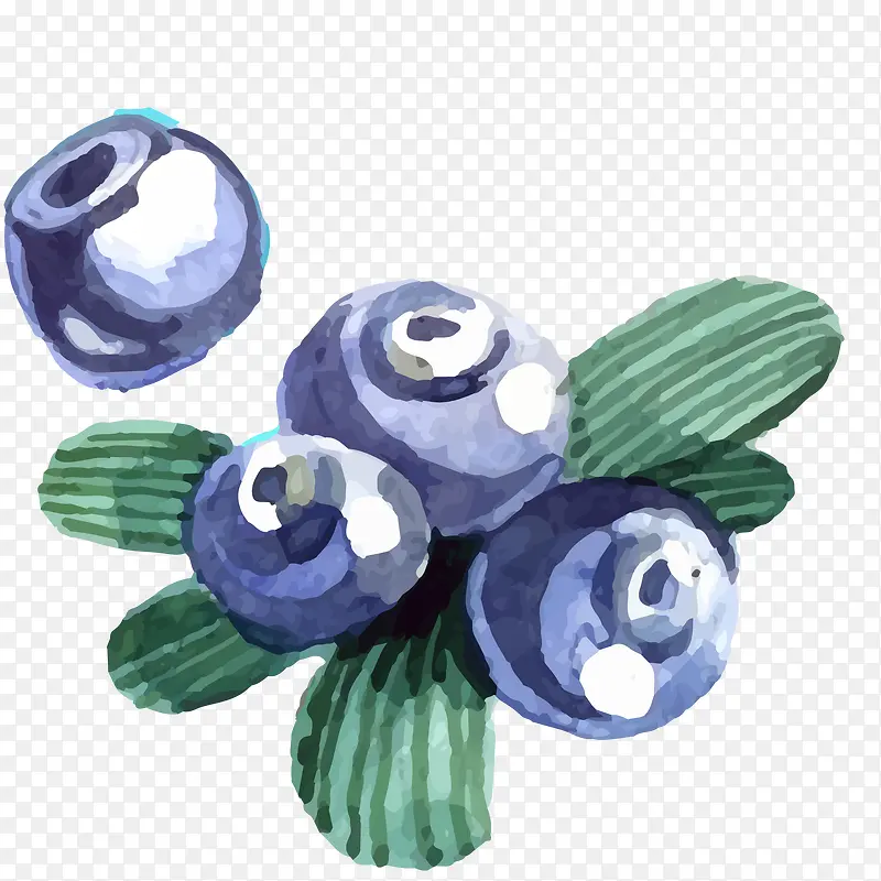 手绘彩绘蓝莓设计
