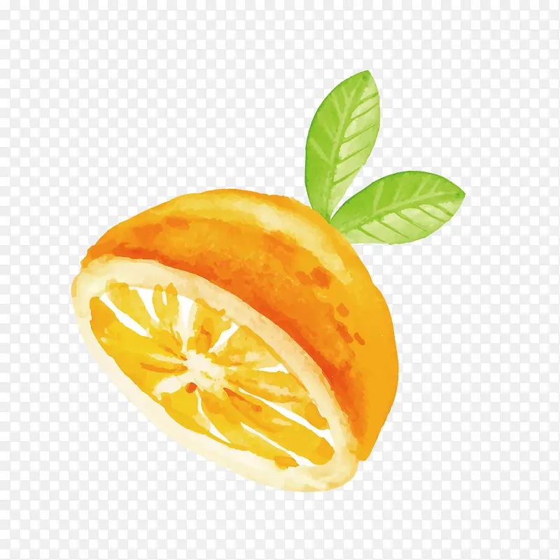 手绘切开的橙子