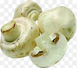 蘑菇蔬菜水果图片
