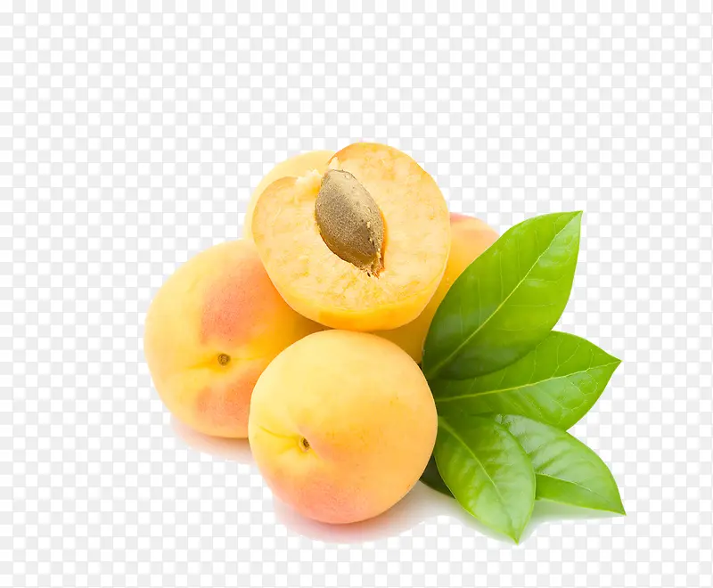 掰开的杏