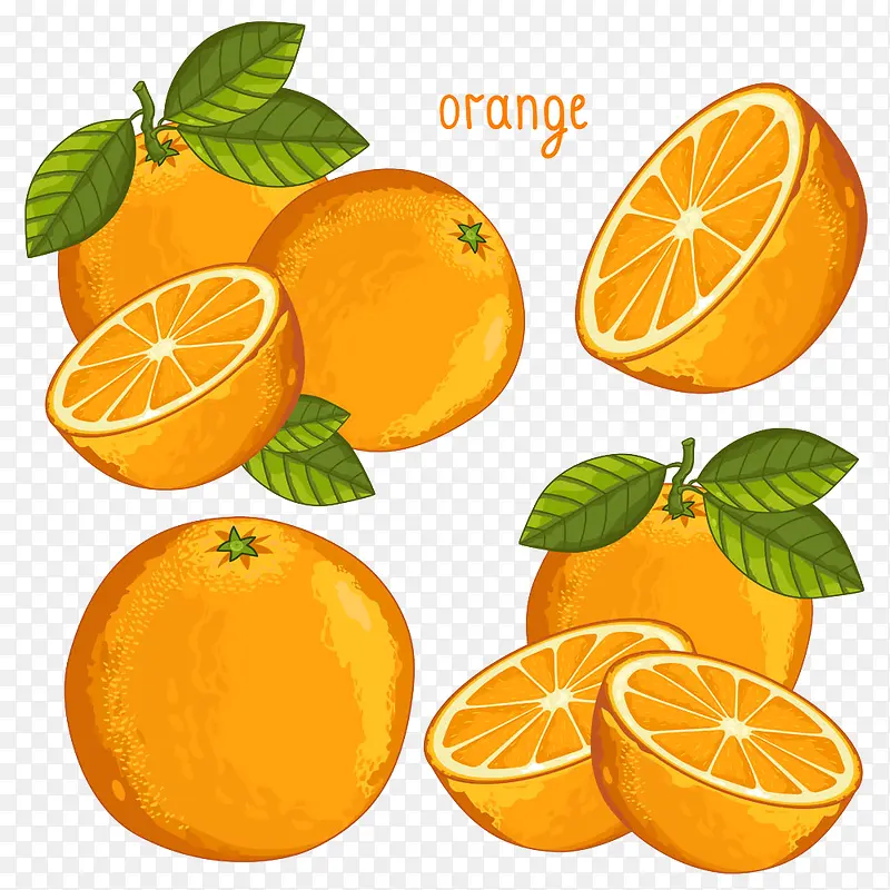 卡通橙子