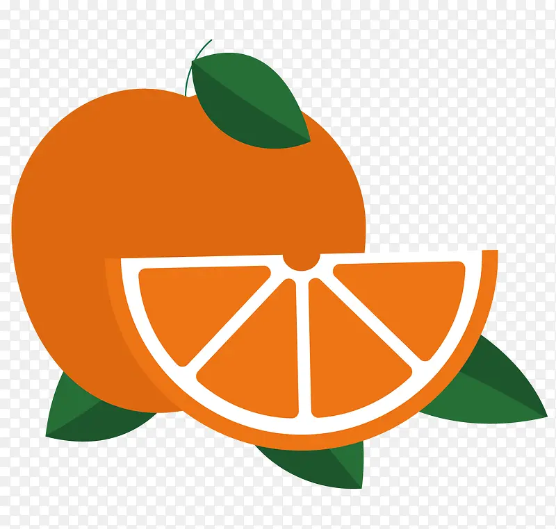矢量橘子