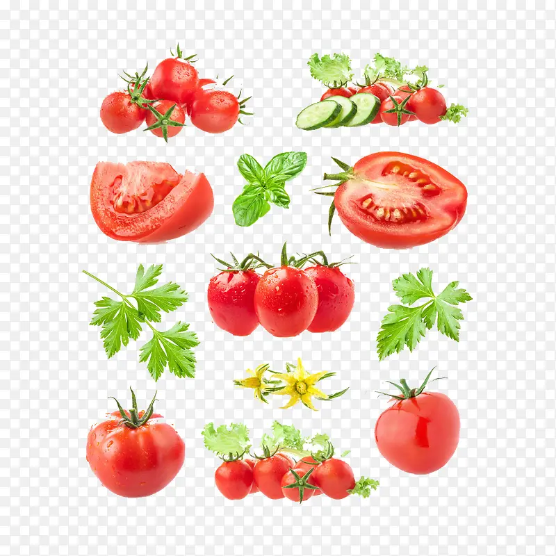 西红柿 蔬菜