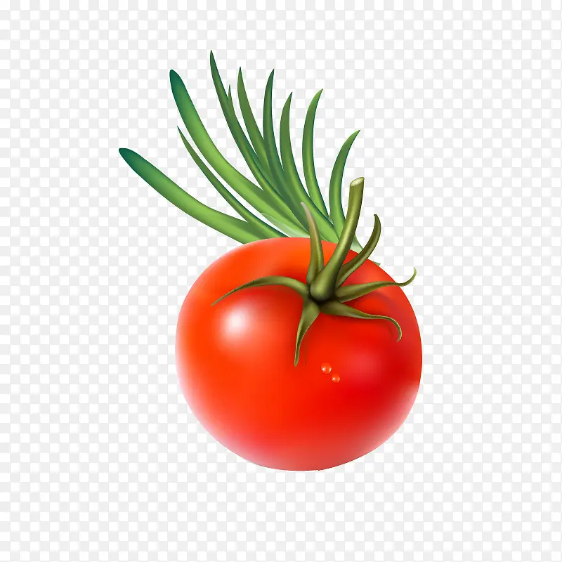 卡通食材蔬菜番茄