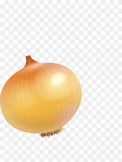 矢量手绘蔬菜