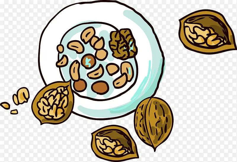 手绘核桃零食矢量图