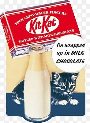巧克力牛奶与猫