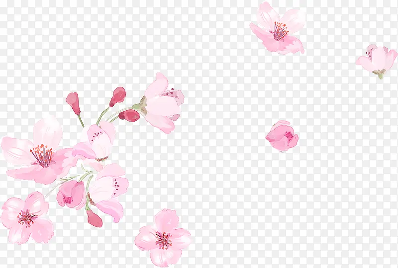 粉色淡雅唯美花朵花瓣