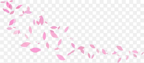 花瓣海报手绘粉色