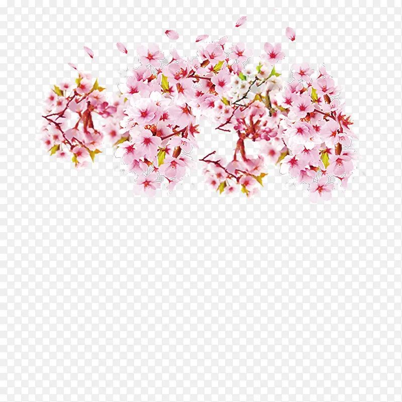 粉色花瓣