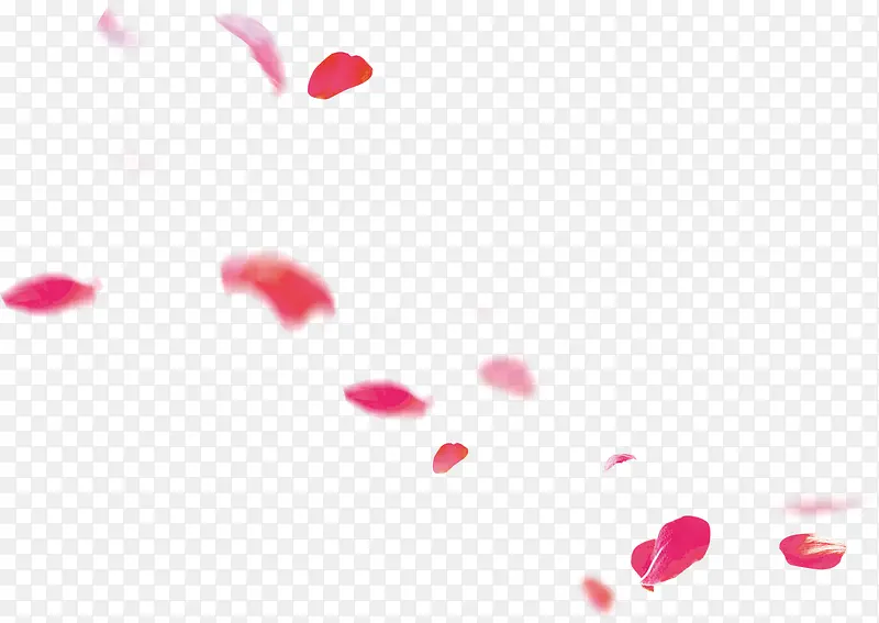 粉色漂浮花瓣清新装饰