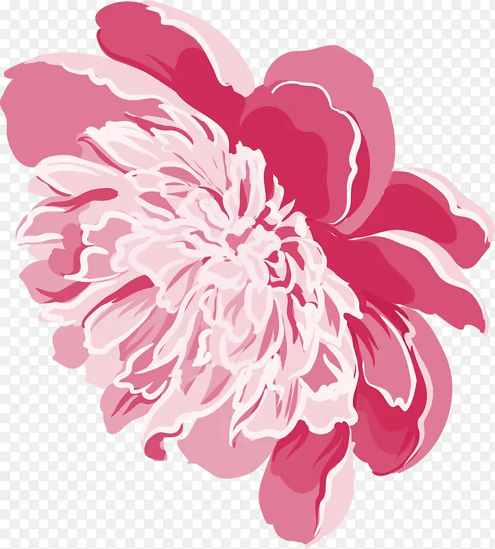 粉色菊花矢量图