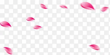 粉色飞舞花瓣元素