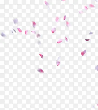 飘舞粉色紫色花瓣
