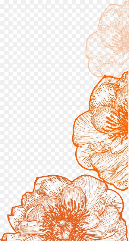 矢量手绘花朵边框