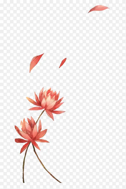 清新唯美手绘红色花朵插画
