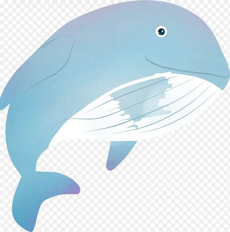 卡通手绘海豚插画设计