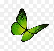 绿色唯美蝴蝶