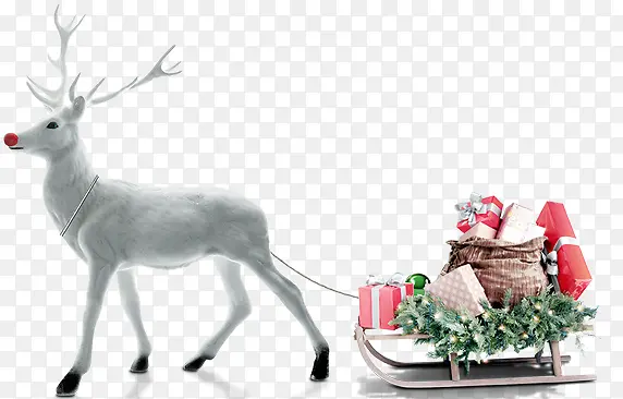 白色圣诞麋鹿送礼