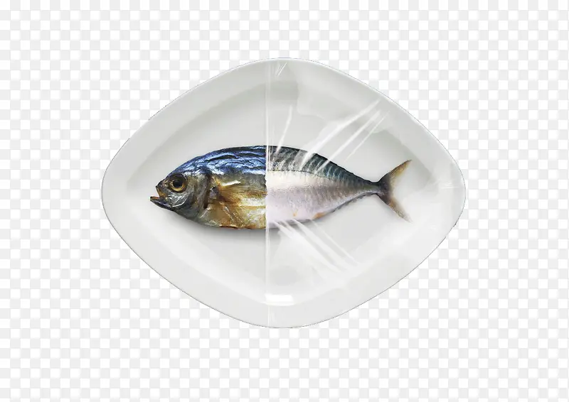 保鲜膜里的咸鱼