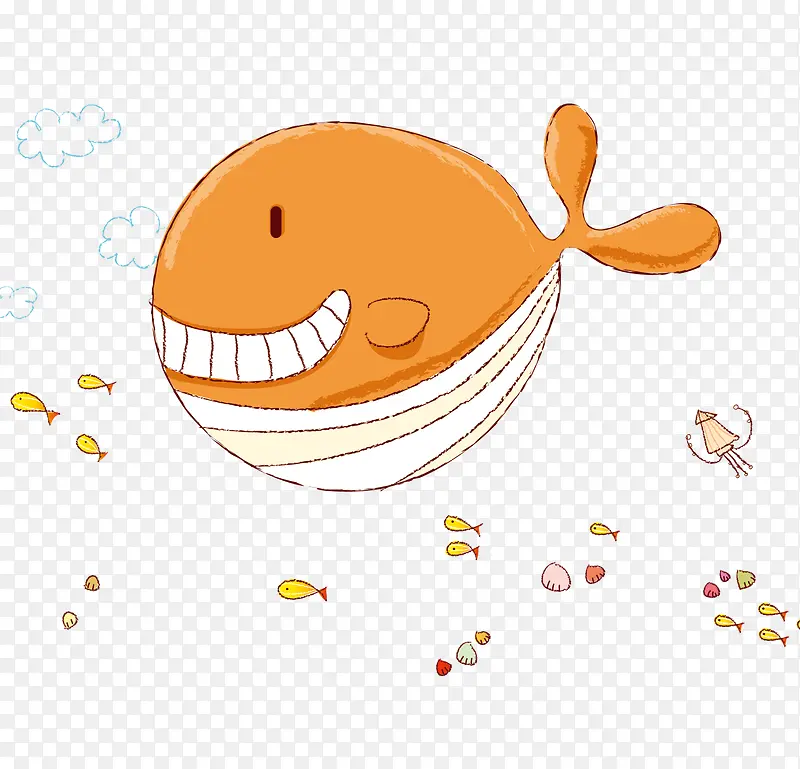鲨鱼图片