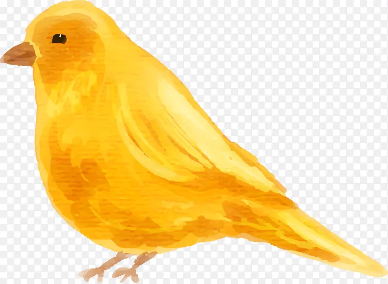 水彩动物黄色小鸟