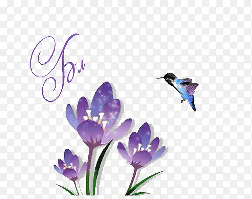 小鸟和紫花
