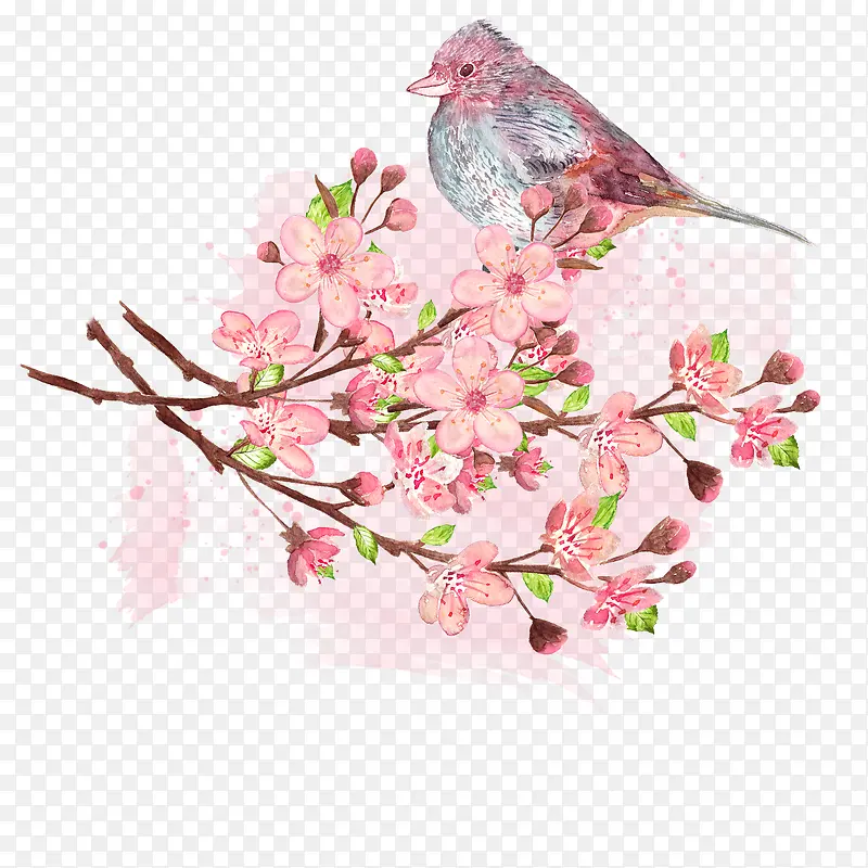 桃花枝上的小鸟