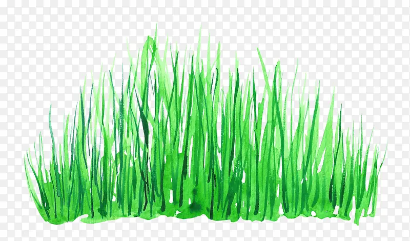 绿色水彩草丛
