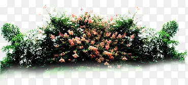 粉色小花草丛景观