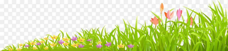 绿草草坪草丛春天装饰