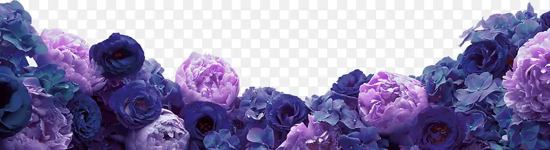 紫色清新花丛边框纹理