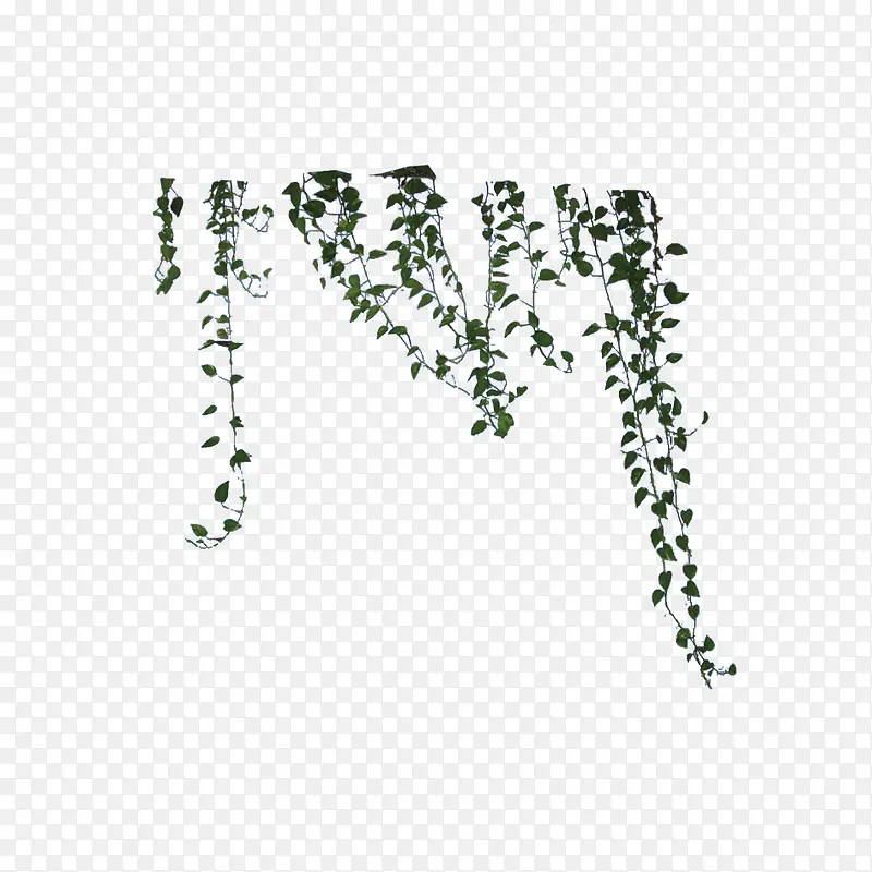绿色植物PNG图片素材下载_图片编号10169609-PNG素材网