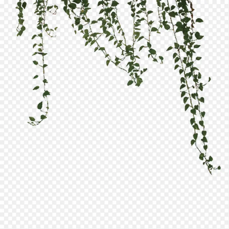 绿色植物PNG图片素材下载_图片编号10169600-PNG素材网
