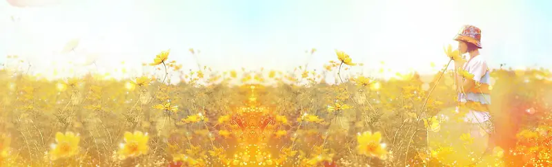 秋季花丛唯美背景banner