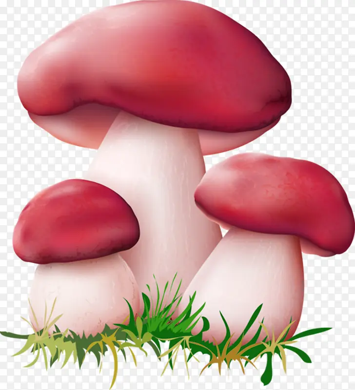 手绘蘑菇草地
