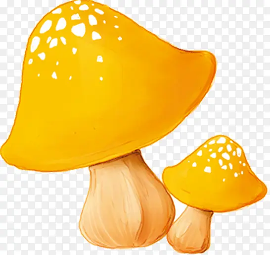 手绘黄色水彩蘑菇
