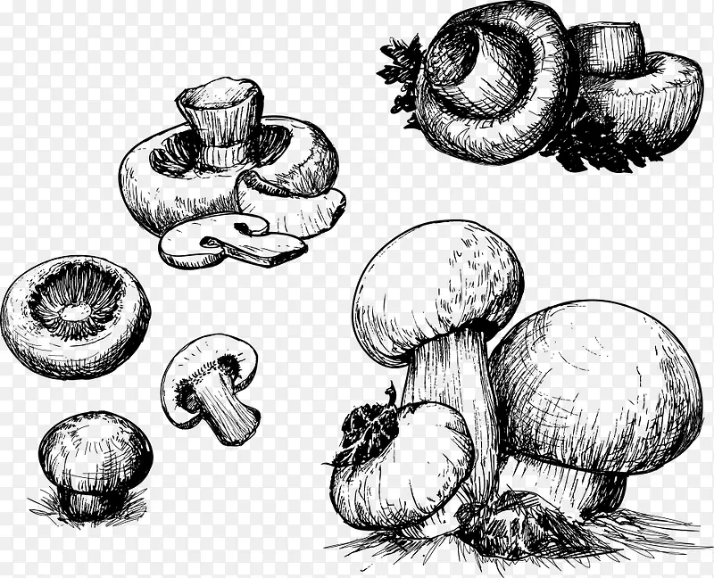 矢量手绘蘑菇素材