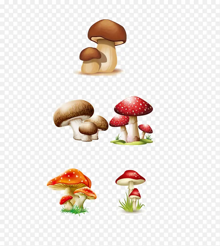 卡通蘑菇