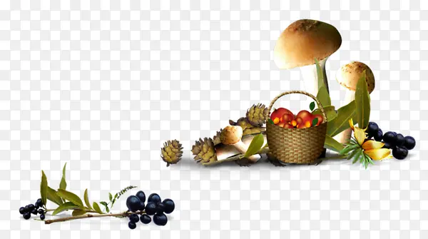 蘑菇  花篮 蓝莓