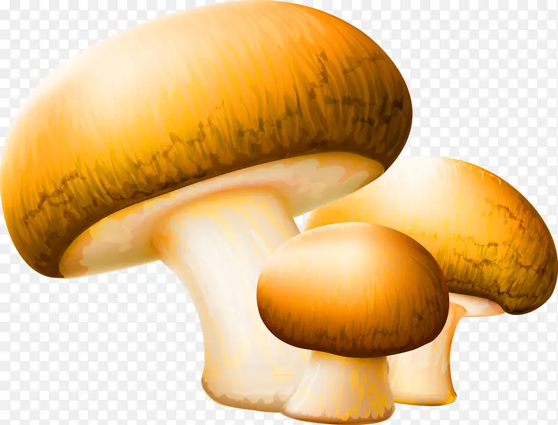 卡通简约蘑菇装饰图案