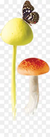 黄色蘑菇蝴蝶装饰